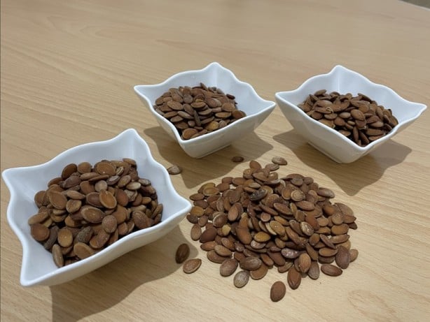 Karpuz çekirdeği sohbetlere keyif katıyor