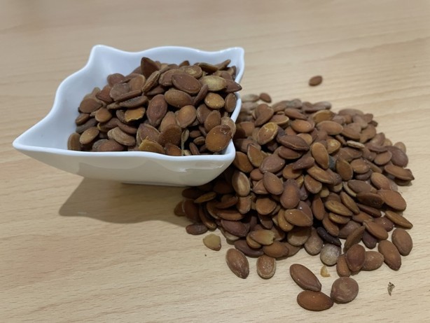 Foto - Karpuz çekirdeği sohbetlere keyif katıyor