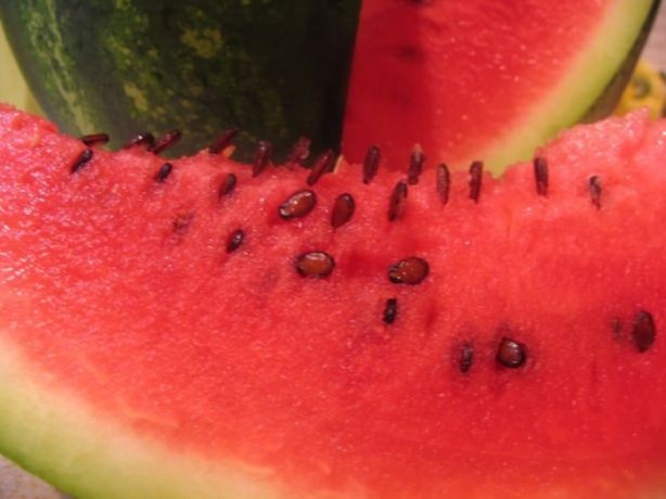 Foto - Karpuz çekirdeğinin hiç bilmediğiniz faydaları