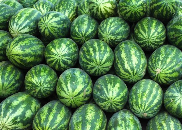 Foto - Karpuz için kritik karar!