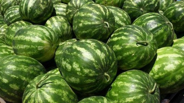 Foto - Karpuz için kritik karar!