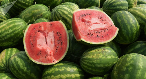 Foto - Karpuz için kritik karar!