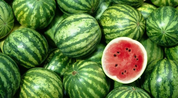 Foto - Karpuz için kritik karar!