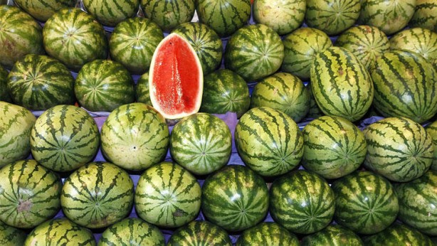 Foto - Karpuz için kritik karar!