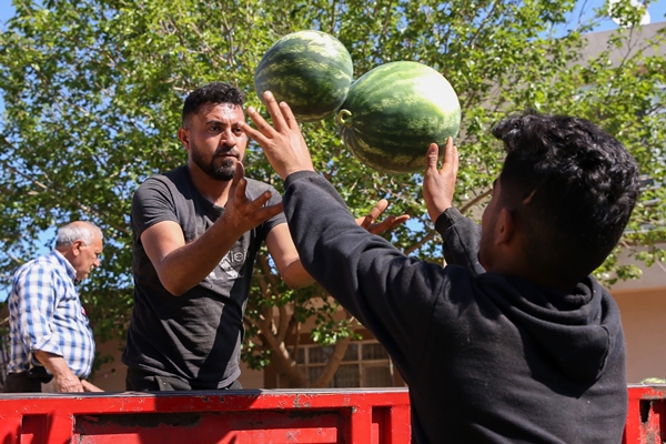 Foto - Karpuz ihracatından 2 haftada 1,5 milyon dolar gelir!