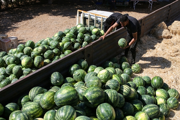 Foto - Karpuz ihracatından 2 haftada 1,5 milyon dolar gelir!