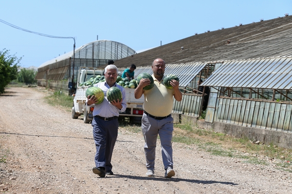 Foto - Karpuz ihracatından 2 haftada 1,5 milyon dolar gelir!
