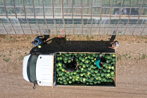 Foto - Karpuz ihracatından 2 haftada 1,5 milyon dolar gelir!