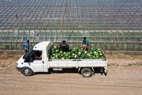 Foto - Karpuz ihracatından 2 haftada 1,5 milyon dolar gelir!