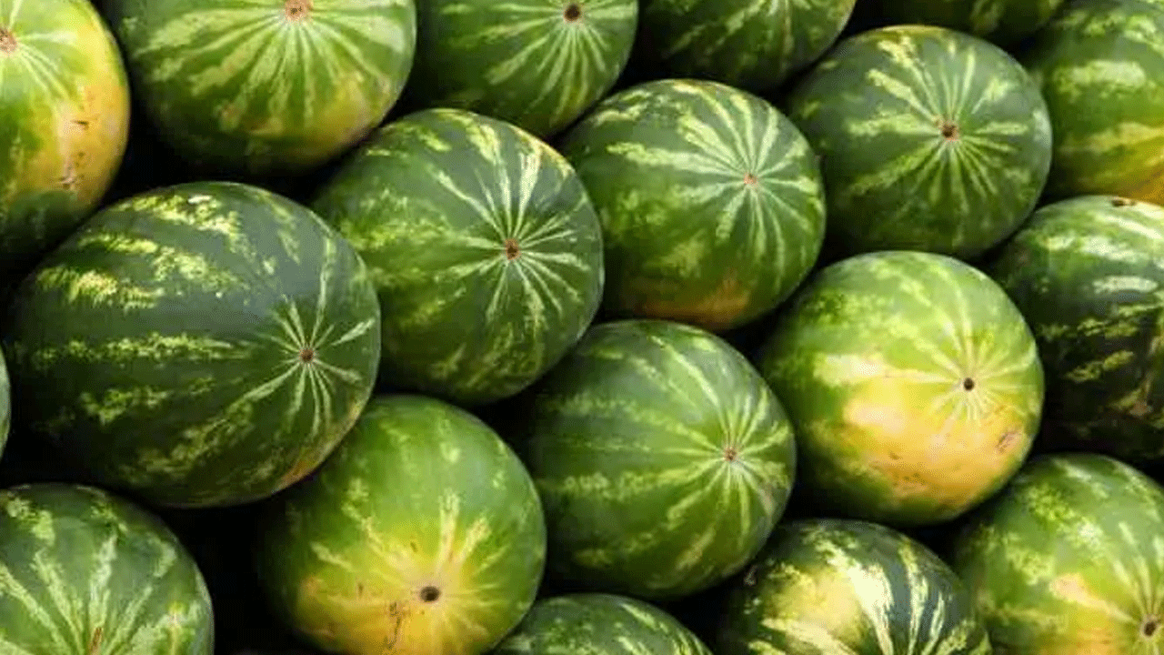 Foto - Karpuz seçerken bu 5 detaya dikkat: İşte sulu ve tatlı kapuzu anlamanın yolları!