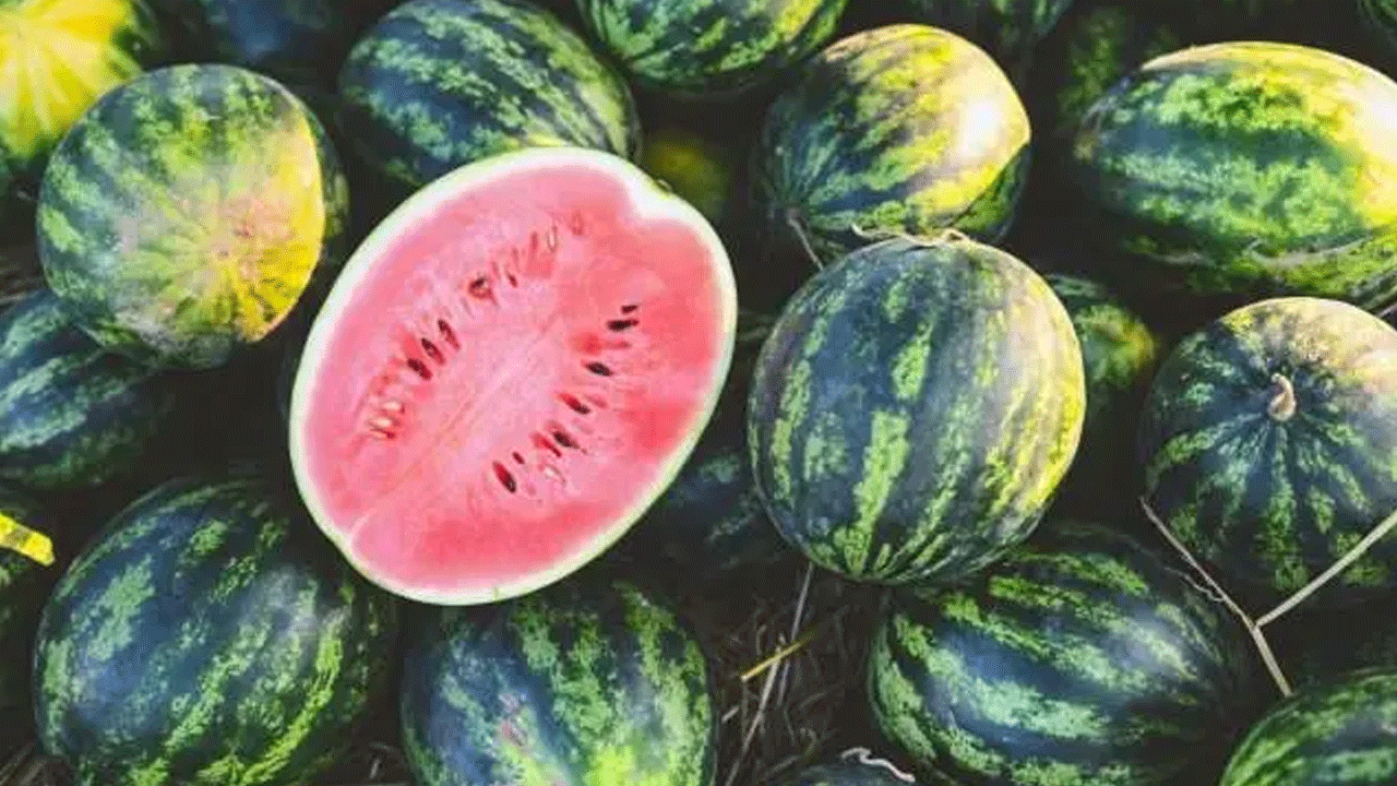 Karpuz seçerken bu 5 detaya dikkat: İşte sulu ve tatlı kapuzu anlamanın yolları!