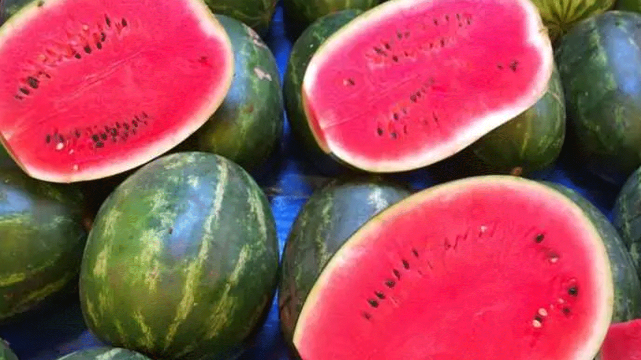 Foto - Karpuz seçerken bu 5 detaya dikkat: İşte sulu ve tatlı kapuzu anlamanın yolları!