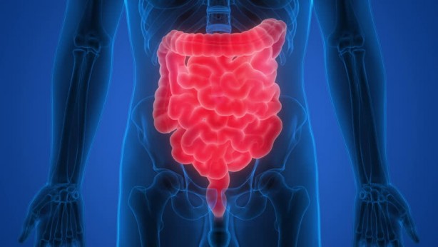 Foto - Karpuz tüketenler dikkat! Bu iki meyveyi birlikte sakın yemeyin...