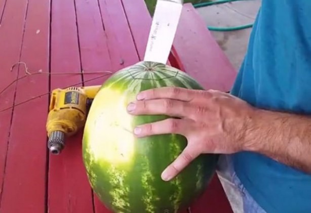 Foto - Karpuz yemeye yeni bir boyut!