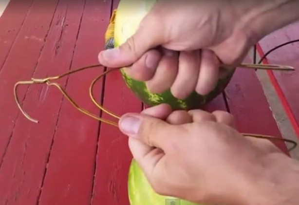 Foto - Karpuz yemeye yeni bir boyut!