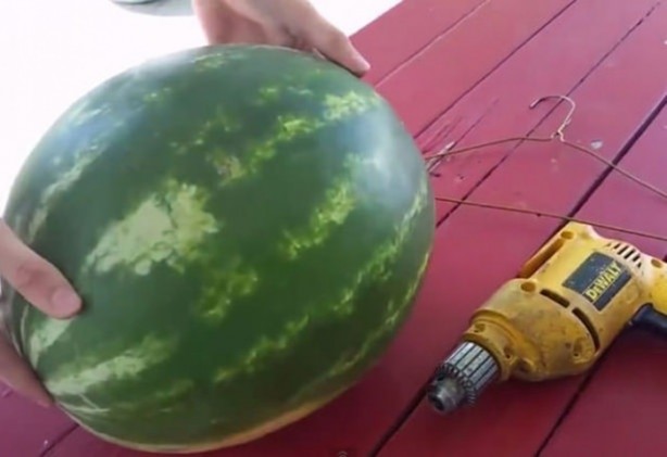 Foto - Karpuz yemeye yeni bir boyut!