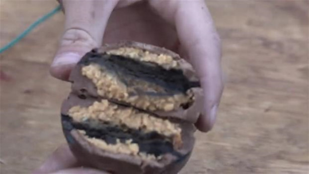 Foto - Karpuza 20 bin volt elektrik verdi! İşte sonuç...