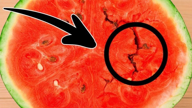 Foto - Karpuzdaki tehlike! Böyle görünüyorsa sakın yemeyin
