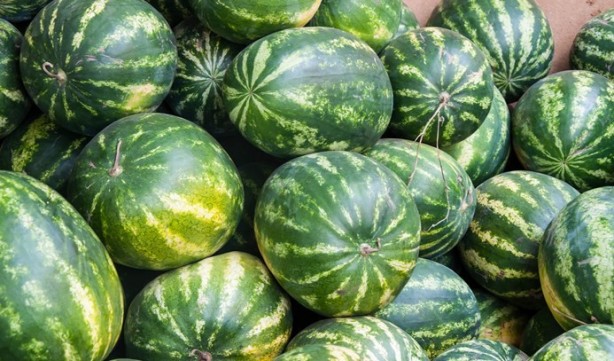 Karpuzdaki tehlike! Böyle görünüyorsa sakın yemeyin