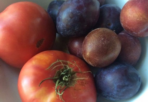 Foto - Karpuzla elmayı beraber saklarsanız...