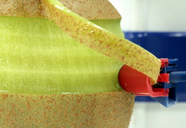 Foto - Karpuzu kabuğuyla tüketin!