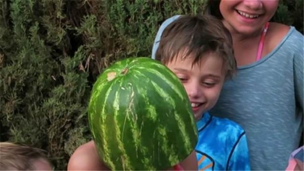 Foto - Karpuzu öyle şekillere soktu ki!