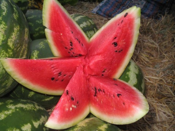 Foto - Karpuzun en iyisini seçmek işte bu kadar kolay! 4 püf noktasını bilen yaz boyu en iyi karpuzları yiyecek