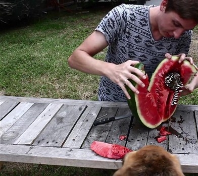 Foto - Karpuzun içine alüminyum dökülürse...