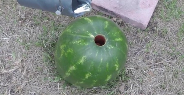 Foto - Karpuzun içine alüminyum dökülürse...