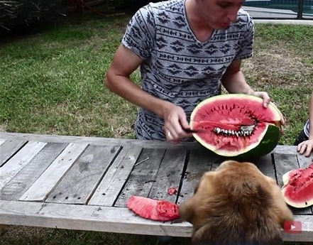 Foto - Karpuzun içine alüminyum dökülürse...