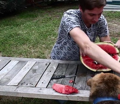 Foto - Karpuzun içine alüminyum dökülürse...