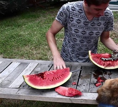 Foto - Karpuzun içine alüminyum dökülürse...