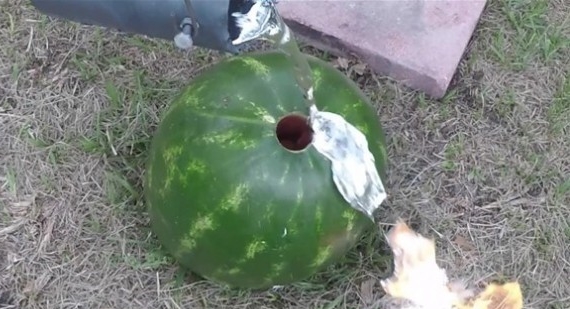 Foto - Karpuzun içine alüminyum dökülürse...