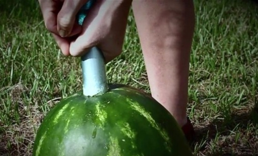 Foto - Karpuzun içine alüminyum dökülürse...