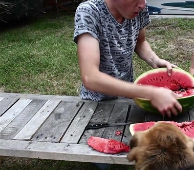 Foto - Karpuzun içine alüminyum dökülürse...