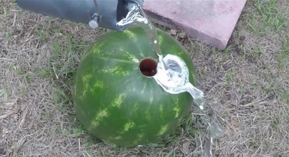 Foto - Karpuzun içine alüminyum dökülürse...