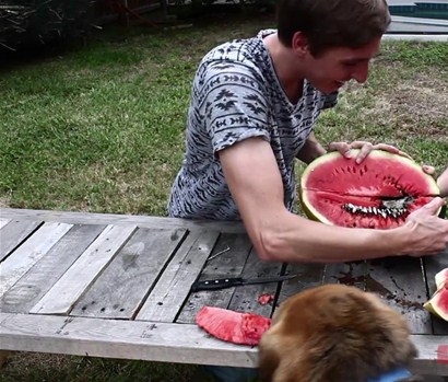 Foto - Karpuzun içine alüminyum dökülürse...