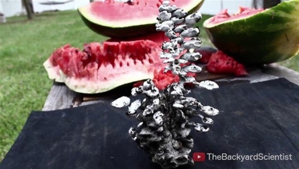 Foto - Karpuzun içine erimiş alüminyum dökülürse...