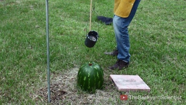 Foto - Karpuzun içine erimiş alüminyum dökülürse...