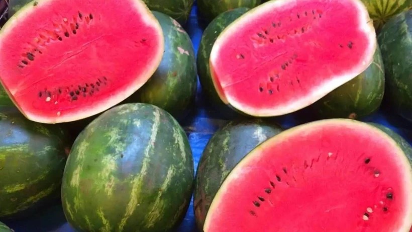 Foto - Karpuzun şeker gibi çıkması için tekniği Adanalılar yıllar önce bulmuş! Meğer işin sırrı oradaymış