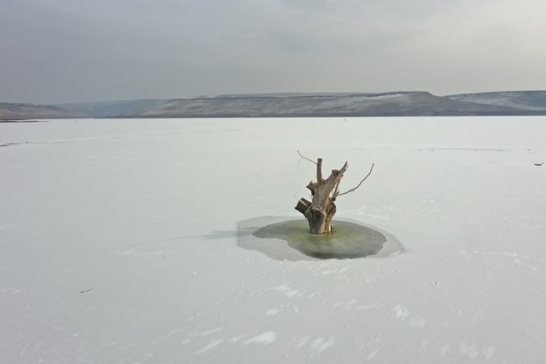 Foto - Kars Barajı'nın yüzeyi buz tuttu