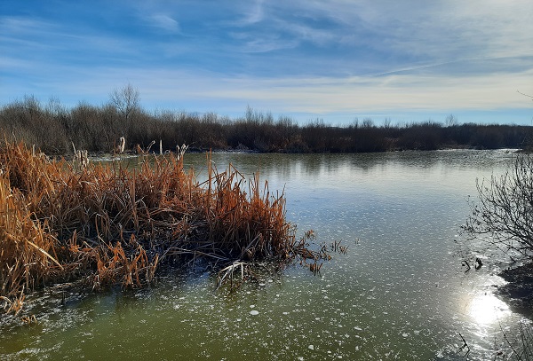Foto - Kars Çayı buz tuttu!