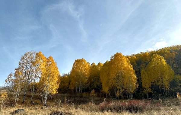 Foto - Kars güz renklerine büründü