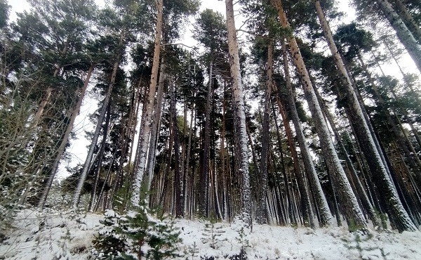 Foto - Kars’a kış geldi! Her yer bembeyaz