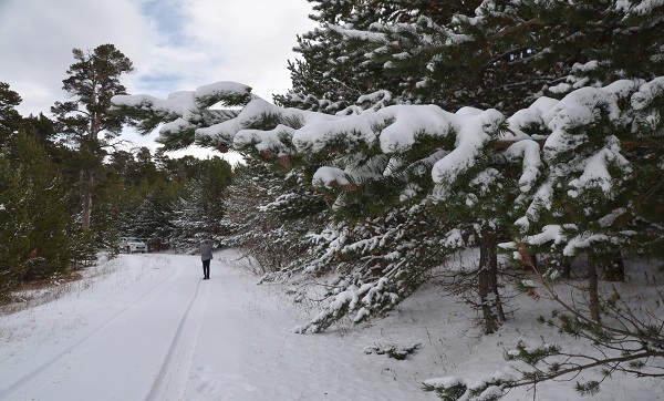 Foto - Kars’a kış geldi! Her yer bembeyaz