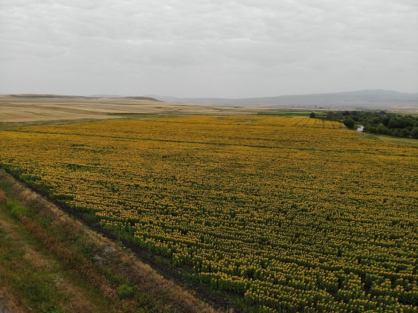 Foto - Kars'ta görsel şölen 