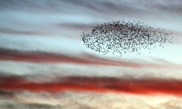 Foto - Kars'ta gün batımı manzarası hayran bıraktı