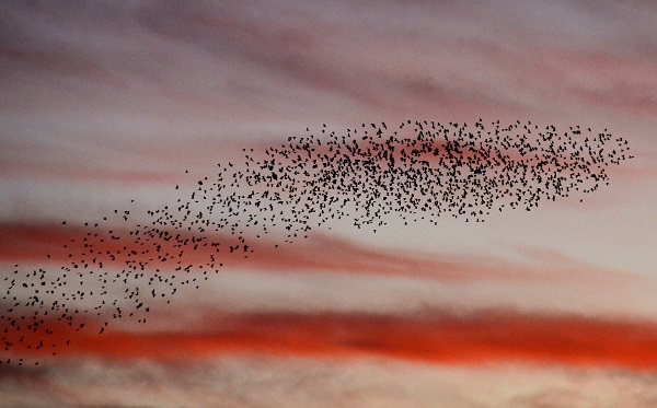 Kars'ta gün batımı manzarası hayran bıraktı