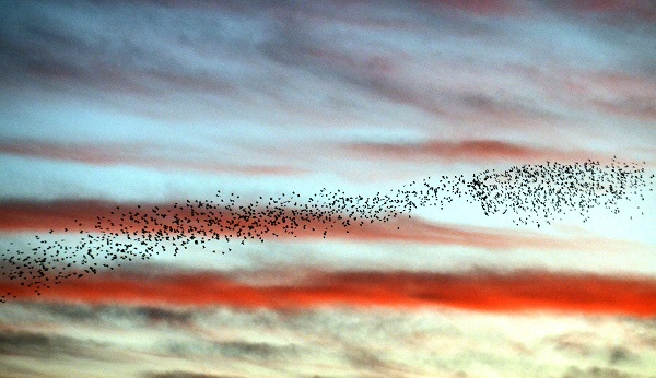 Foto - Kars'ta gün batımı manzarası hayran bıraktı