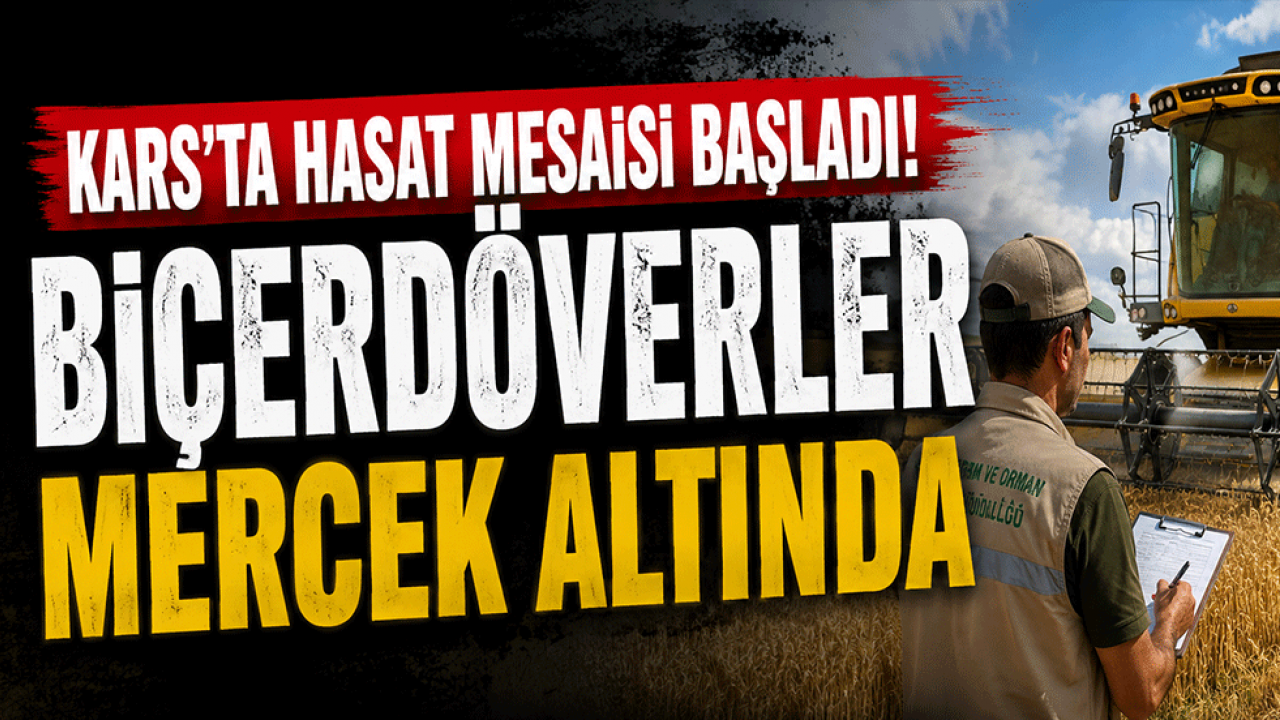 Kars'ta hasat mesaisi başladı! Biçerdöverler mercek altında
